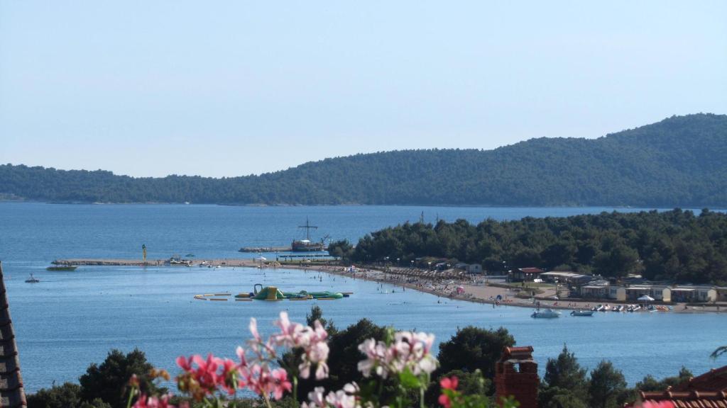 Jimy Apartments Šibenik Dış mekan fotoğraf